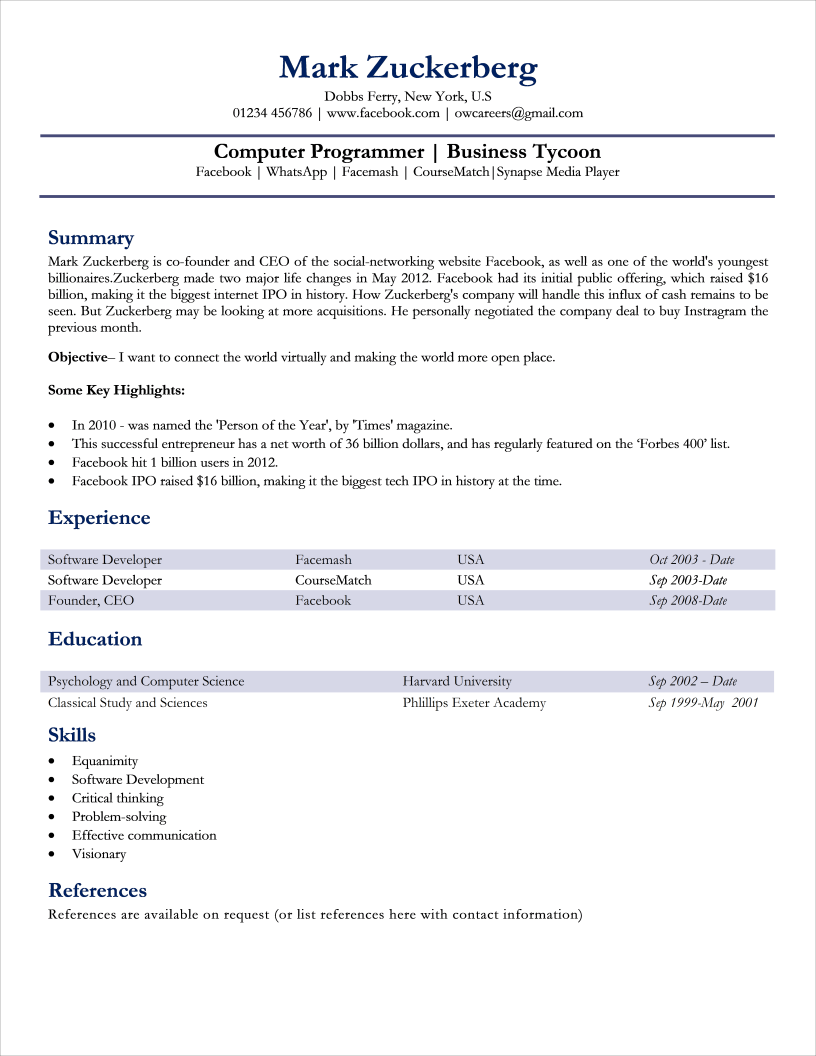 Functional CV for Information Technology Professionals Template