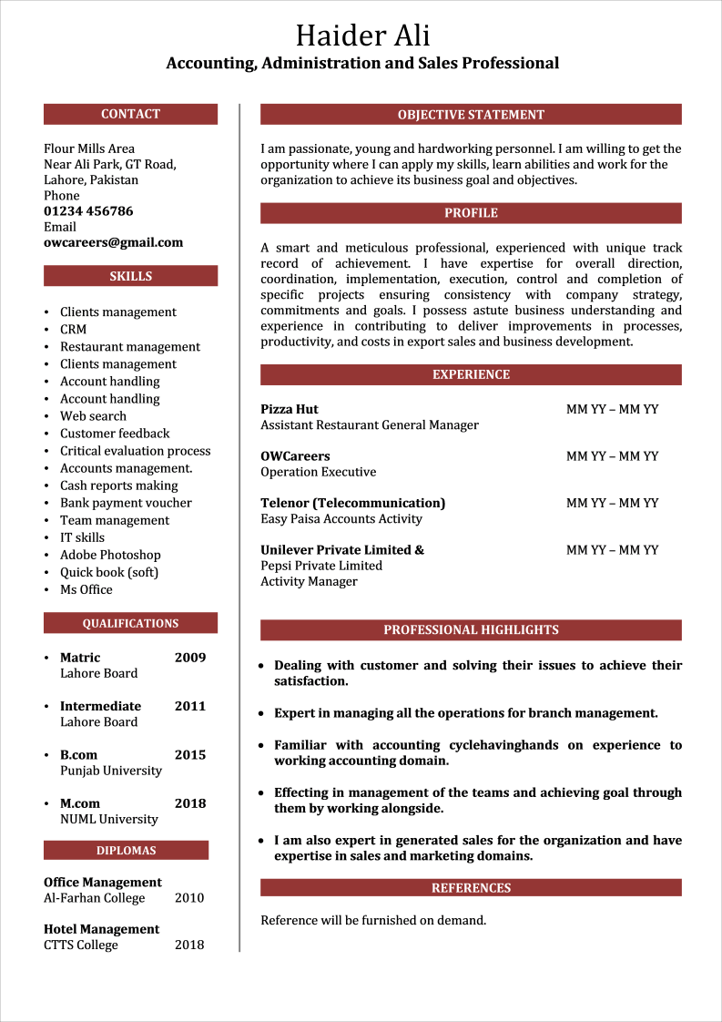Functional CV for Sales and Admin Professionals Template