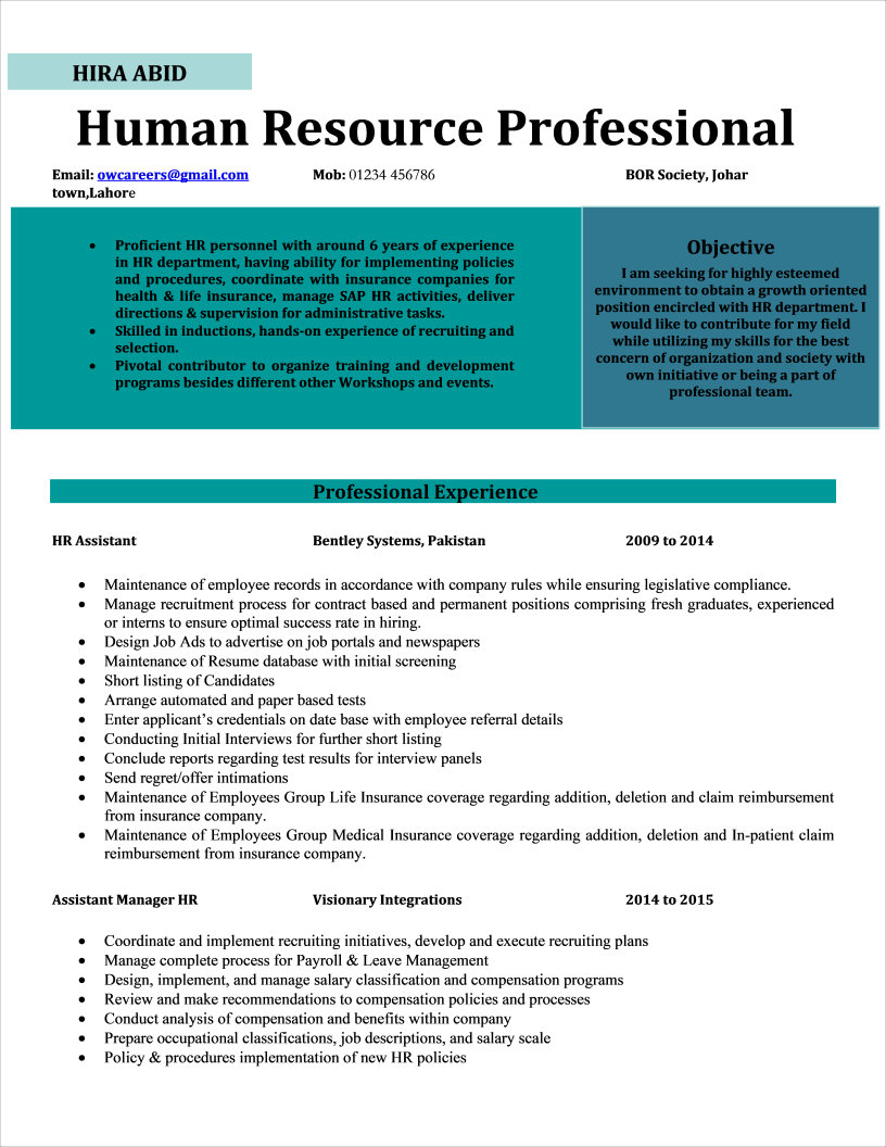 Infographic CV for HR Professionals Template